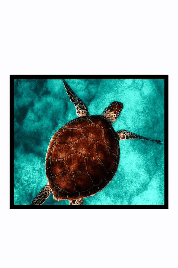Sea Turtle - Paint By Numbers